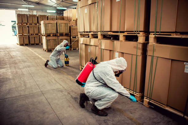 Best Affordable Pest Control Services  in Watsessing, NJ