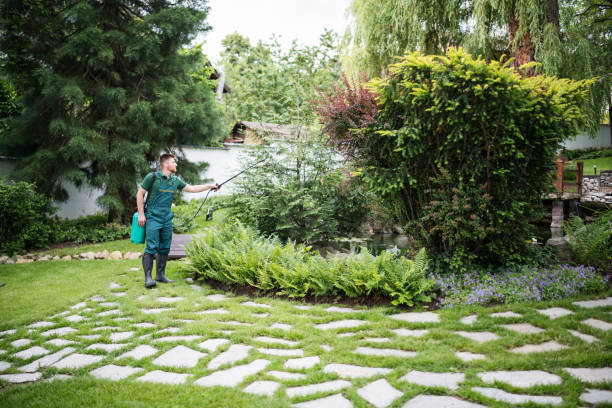 Best Pest Control Cost  in Watsessing, NJ
