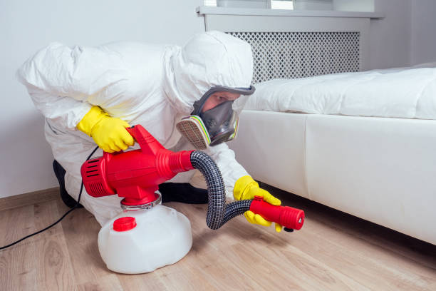 Best Affordable Pest Control Services  in Watsessing, NJ