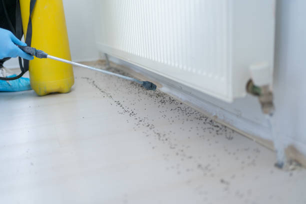Best Insect Control  in Watsessing, NJ