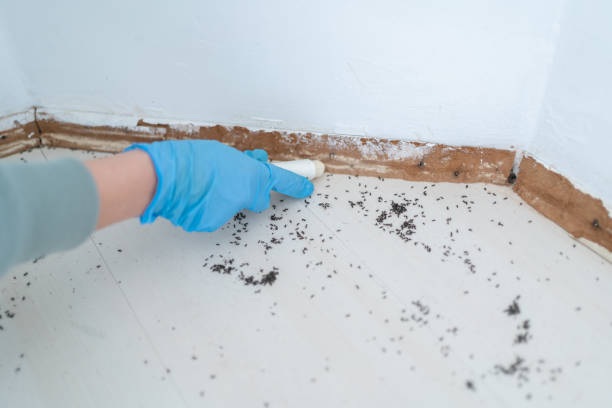 Best Pest Control Near Me  in Watsessing, NJ